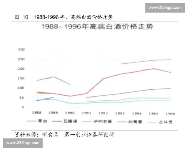 柏迪逊与全球市场竞争力的深度解析及未来发展趋势展望